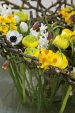 Kruh z větviček a drátu vytváří přírodní podpěru pro výrazné jarní aranžmá s pryskyřníkem v hlavní roli (Ranunculus, Hyacinthus, Narcissus, Fritillaria, Tulipa, Anemone). Kruh z větviček a drátu vytváří přírodní podpěru pro výrazné jarní aranžmá s pryskyřníkem v hlavní roli (Ranunculus, Hyacinthus, Narcissus, Fritillaria, Tulipa, Anemone).