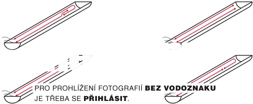 Obrázek z galerie