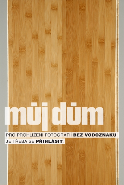 Obrázek z galerie