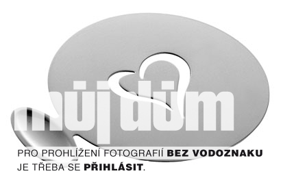 Obrázek z galerie