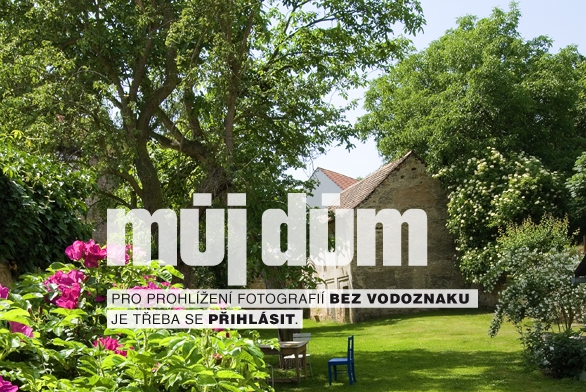 Obrázek z galerie