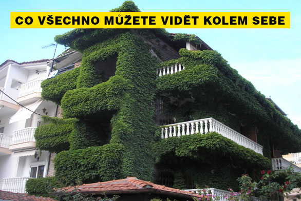 Obrázek z galerie