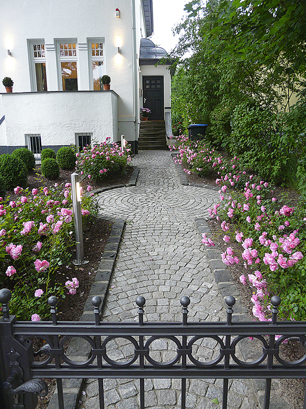 Obrázek z galerie
