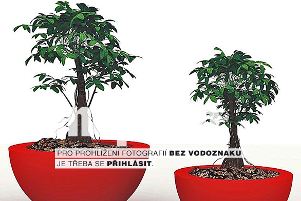 Obrázek z galerie