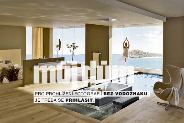 Obrázek z galerie