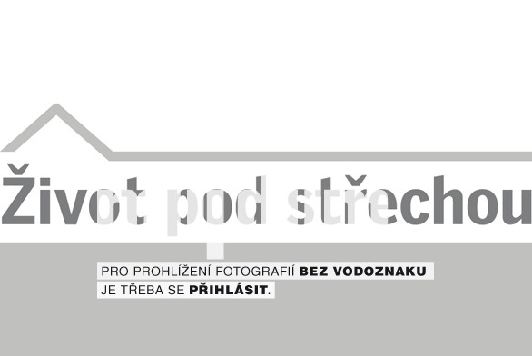 Obrázek z galerie