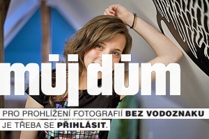Obrázek z galerie