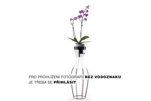 Obrázek z galerie