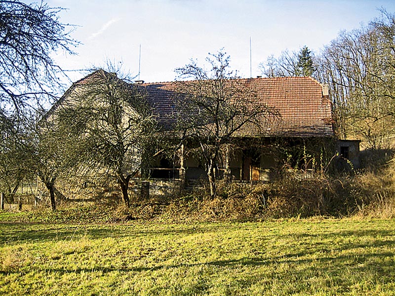 Obrázek z galerie