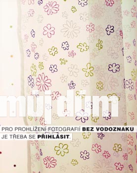 Obrázek z galerie