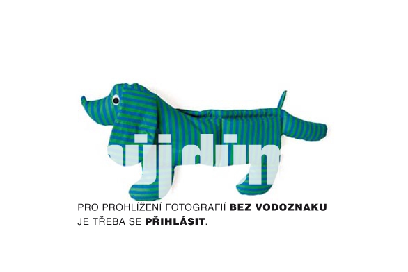 Obrázek z galerie