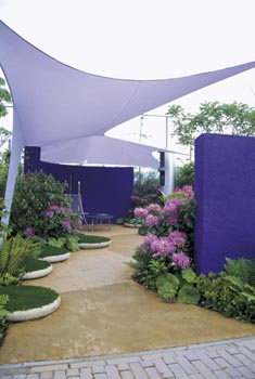 Obrázek z galerie