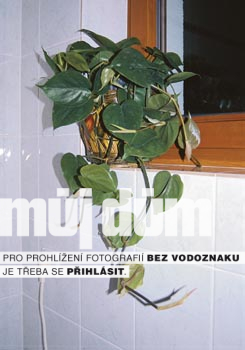 Obrázek z galerie