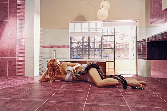 Obrázek z galerie