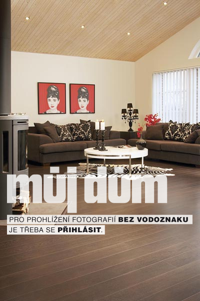 Obrázek z galerie