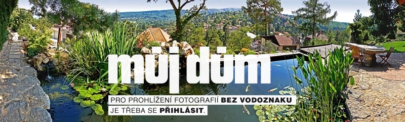 Obrázek z galerie