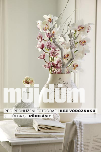Obrázek z galerie