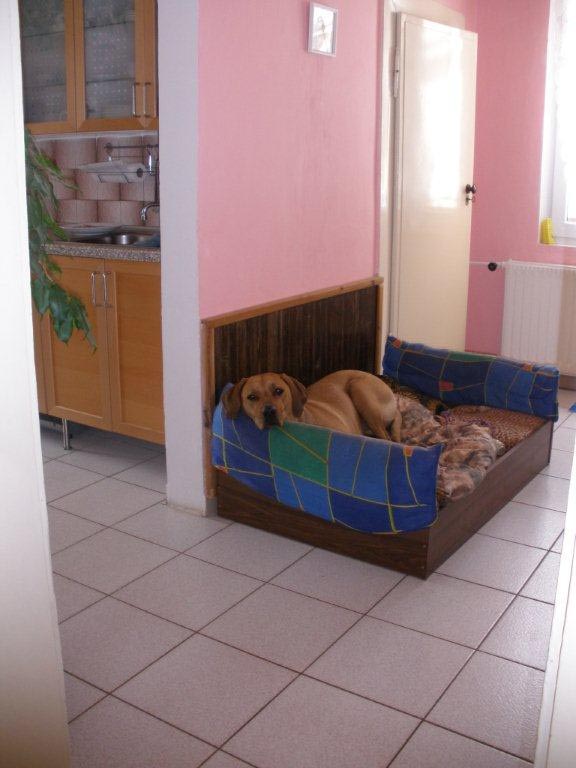 Interiér změnila až po smrti manžela a ztrátě dcery. Interiér změnila až po smrti manžela a ztrátě dcery.