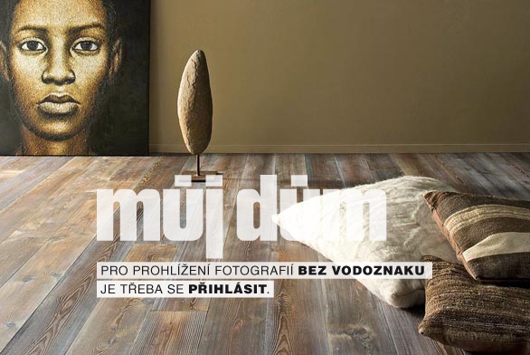 Obrázek z galerie