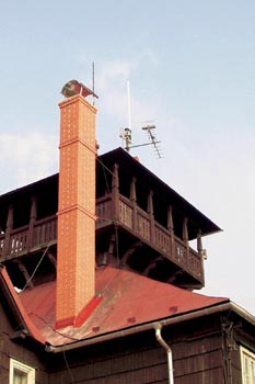 Obrázek z galerie