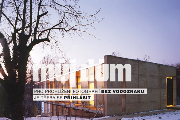 Obrázek z galerie