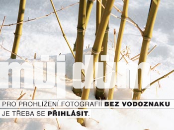 Obrázek z galerie