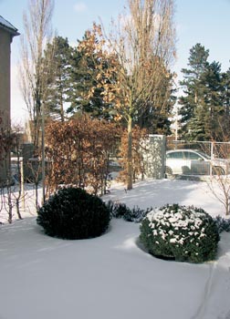 Obrázek z galerie