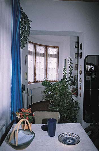 Obrázek z galerie