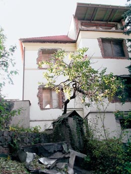 Obrázek z galerie