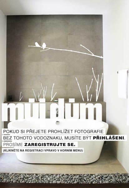Obrázek z galerie