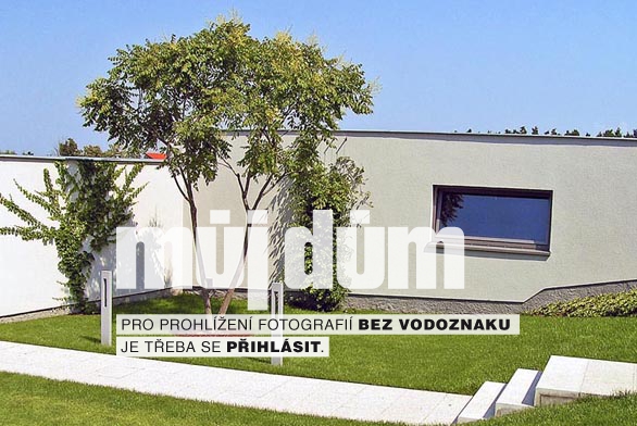 Obrázek z galerie