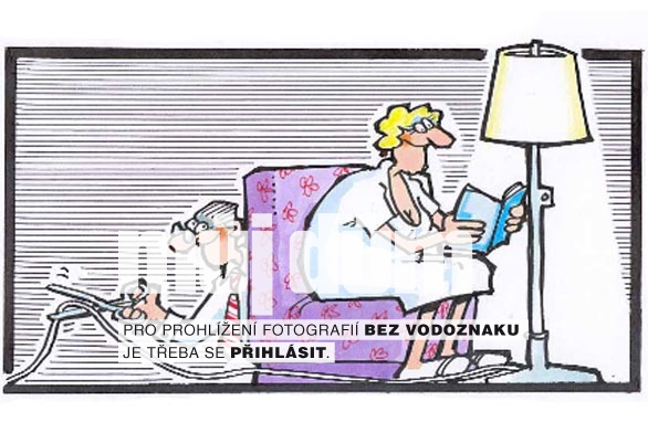 Obrázek z galerie