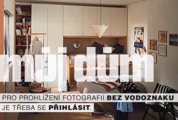 Obrázek z galerie