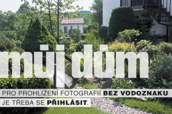 Obrázek z galerie
