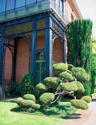 Obrázek z galerie