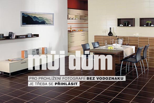 Obrázek z galerie