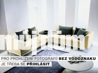 Obrázek z galerie