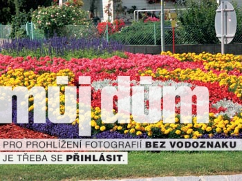 Obrázek z galerie