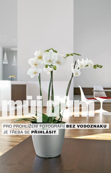 Obrázek z galerie