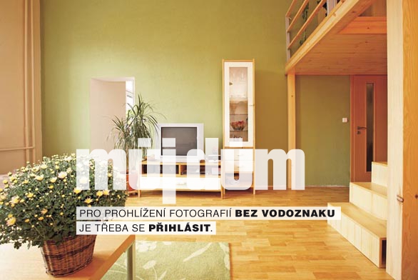 Obrázek z galerie