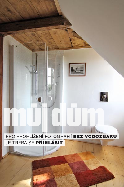 Obrázek z galerie
