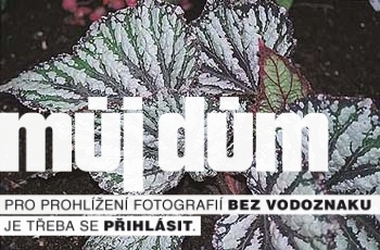 Obrázek z galerie