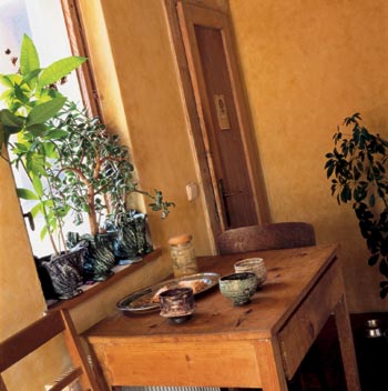 Obrázek z galerie