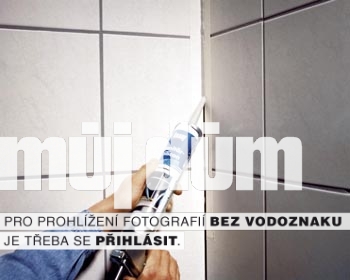 Obrázek z galerie