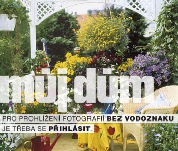 Obrázek z galerie