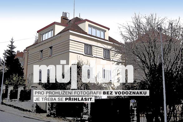 Obrázek z galerie
