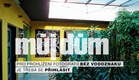 Obrázek z galerie