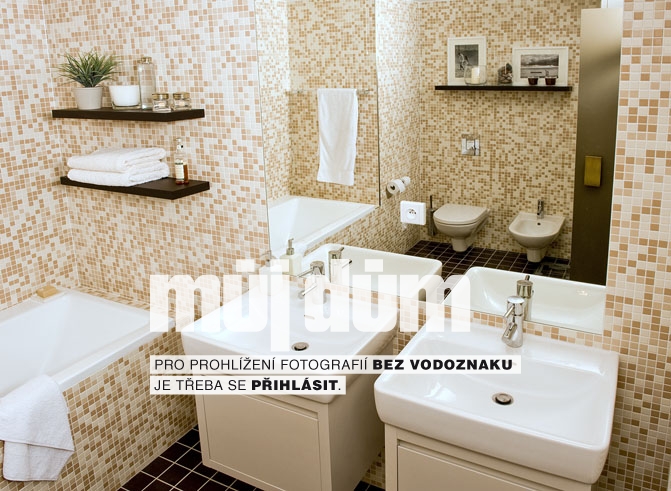 Obrázek z galerie