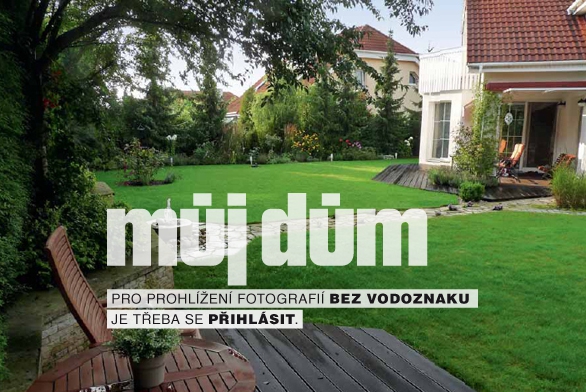 Obrázek z galerie