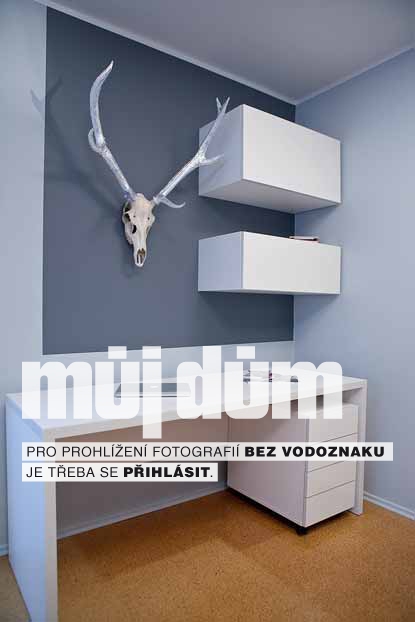 Obrázek z galerie